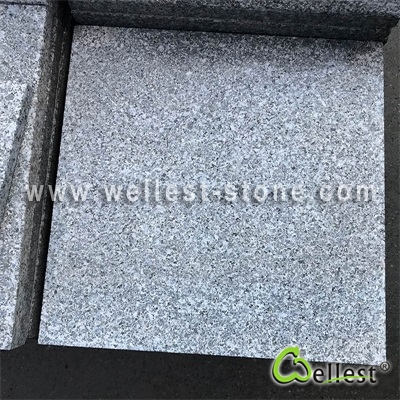 G566 Sandiago Green Granite Paver Tile with Semi-Grind  Finish