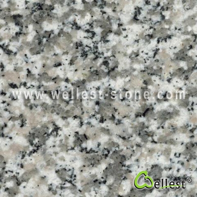 G623 Silvery Grey