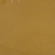 SY153 Gold Sandstone