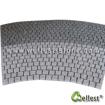 Multi Color Mesh Granite Paving 9