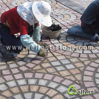 Multi Color Mesh Granite Paving 15