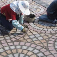 Multi Color Mesh Granite Paving 15