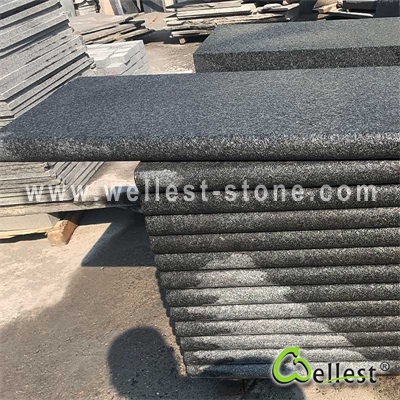 Diamond Black Granite Coping