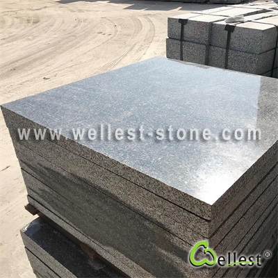 G566 Sandiago Green Granite Paver Tile with Honed  Finish