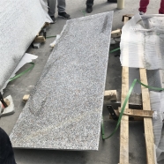 G383 Pearl Flower Polished Slab with Bullnose Edge 1