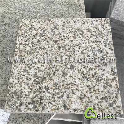 G384 Golden Grain Granite Polished Tile